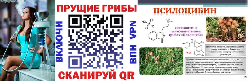 блэк спрут зеркало  это клад  Мыски  Галлюциногенные грибы Psilocybine cubensis  купить  